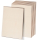 TAVOLA BALSA 30x100x1000 mm (1 pz)